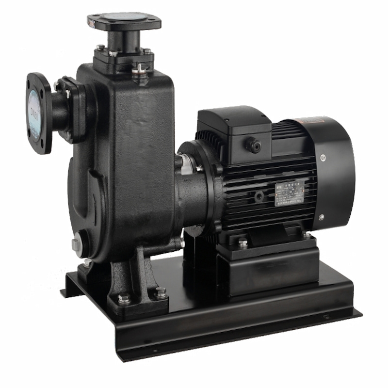 Self-priming Sewage Pump